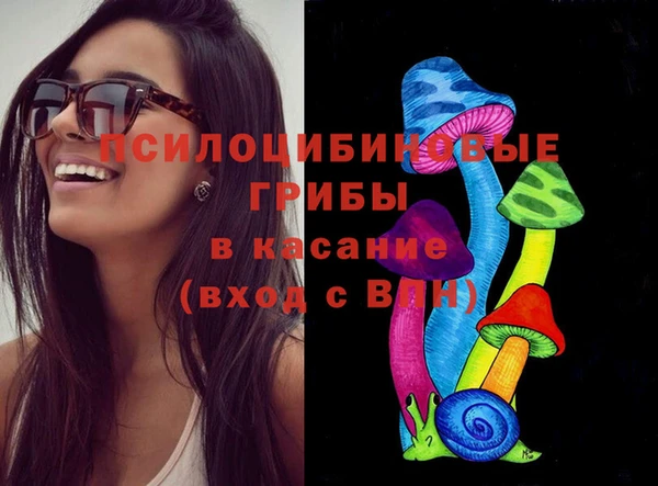 прущая мука Вяземский